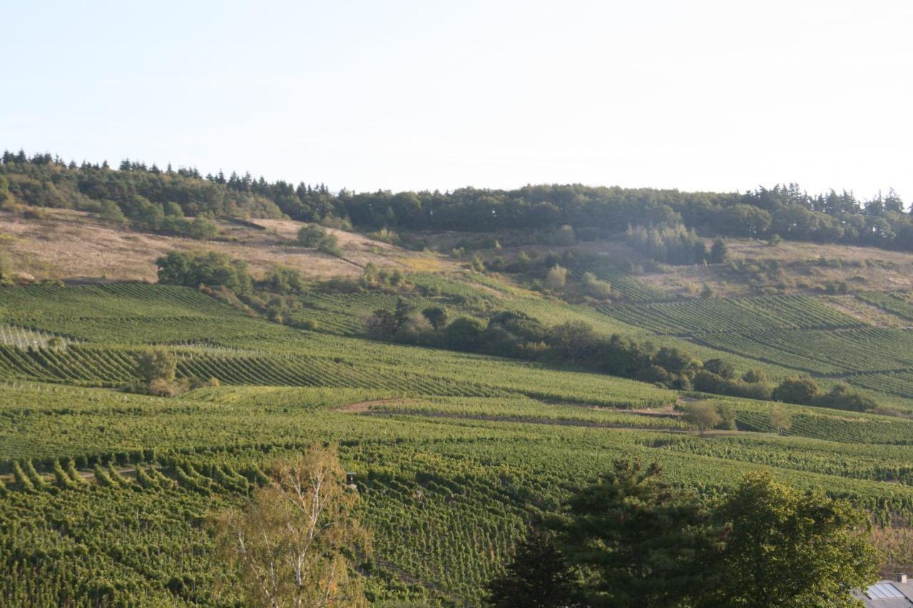 ميهرينغ Ferienwohnung Weinbergblick المظهر الخارجي الصورة